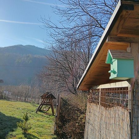 Вилла Casuta Din Rusca Sebesu de Jos Экстерьер фото