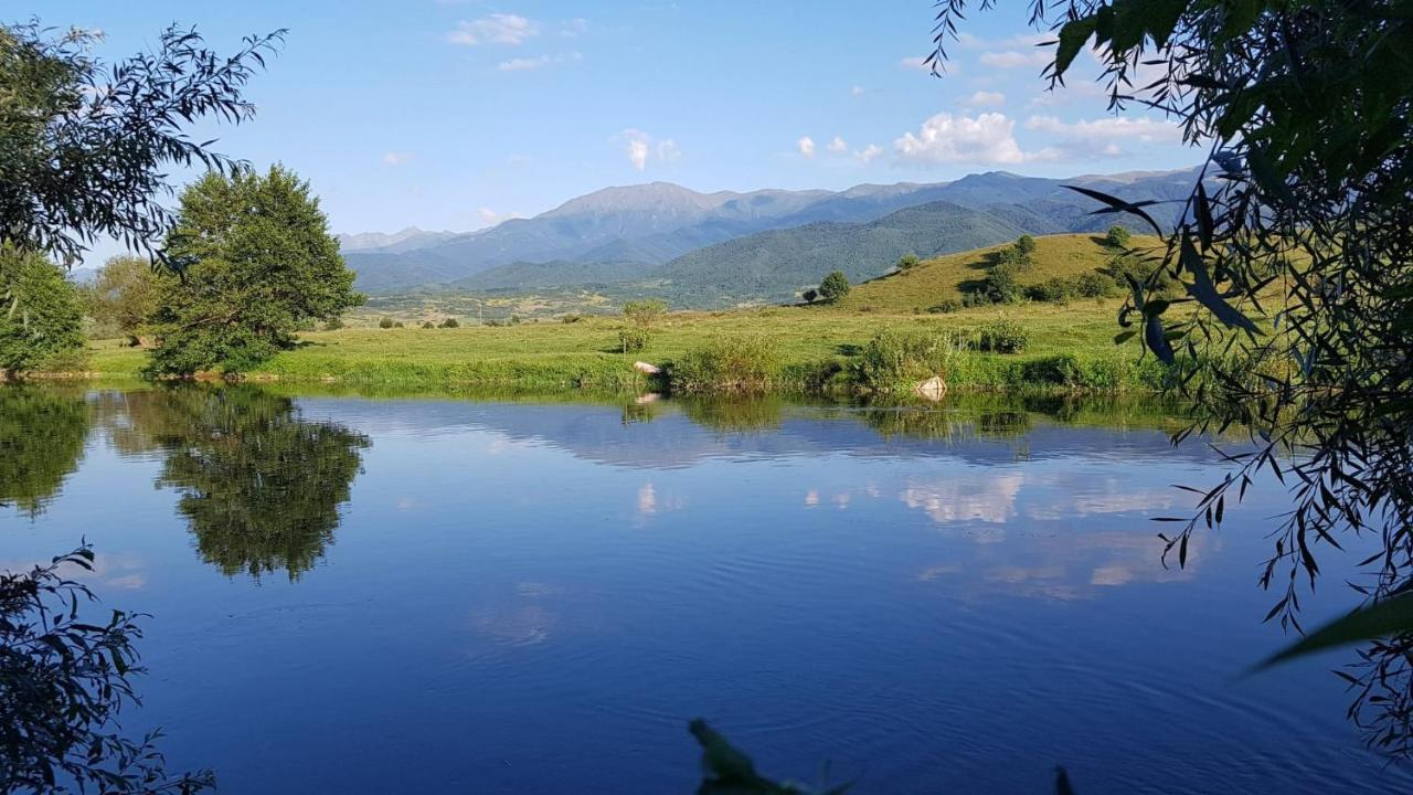 Вилла Casuta Din Rusca Sebesu de Jos Экстерьер фото