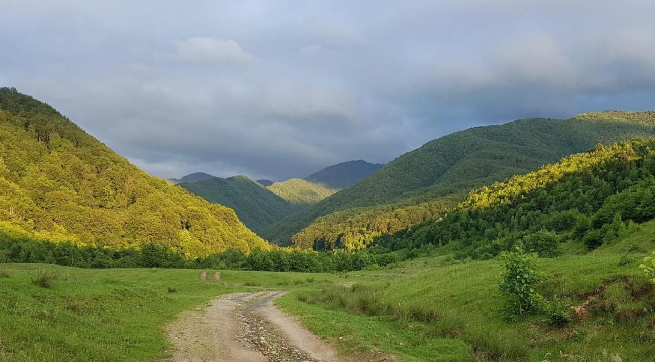 Вилла Casuta Din Rusca Sebesu de Jos Экстерьер фото